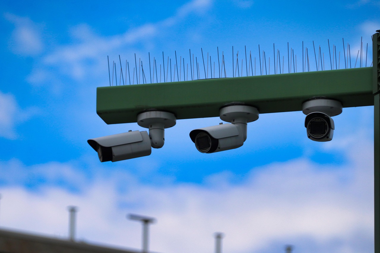 6A娱乐，注册|微分销app详情下载教程