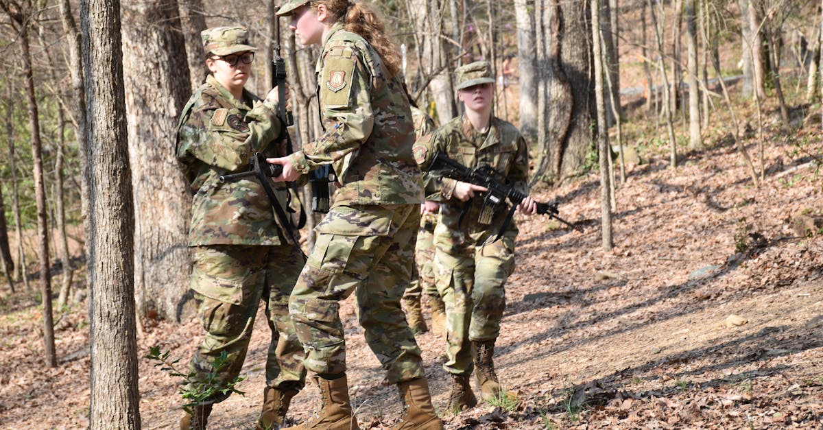 免费攻击网站|常德书画购买平台